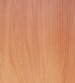 Butternut