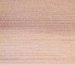 Western Hemlock
