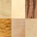 Hard Maple
