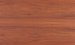 European Walnut